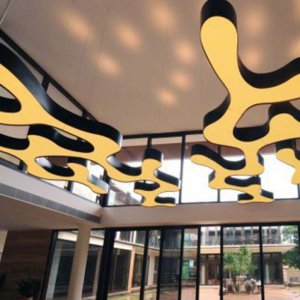 3D and Standalone Builds 5 Ceiling