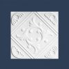 Anet Butting Ceiling Tile