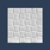 Flax (Len) Butting Ceiling Tile