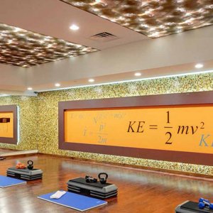 Gym ceilings 6