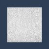 Putz Butting Ceiling Tile