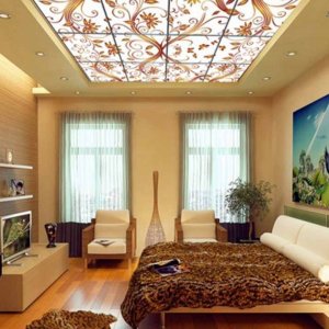 Residential Ceiling
